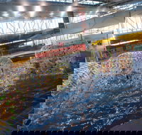 Oasis Regional Aquatic Centre - Maitland Accommodation