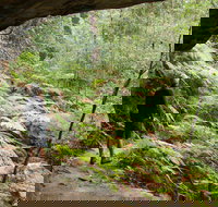 Old Great North Road Bike Ride - Maitland Accommodation