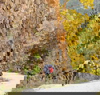 Old Great North Road - World Heritage Walk - Maitland Accommodation