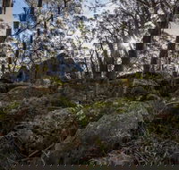 Pheasants Peak Walking Track - Maitland Accommodation