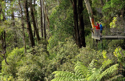 Pipers Lookout - Maitland Accommodation 0