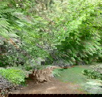 Pirianda Gardens - Maitland Accommodation
