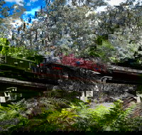 Puffing Billy Railway - Maitland Accommodation