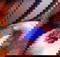 Quilpie Opal Fossicking - Maitland Accommodation