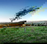 Ravensbourne National Park - Maitland Accommodation