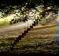 Ruffey Lake Park - Maitland Accommodation