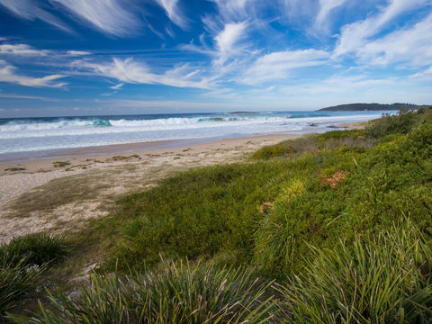 Shelly Beach - Maitland Accommodation 1