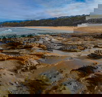 Sunburnt Beach - Maitland Accommodation