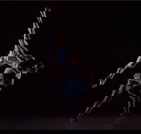 Sydney Dance Company - Maitland Accommodation