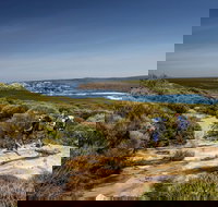 The Coast track - Maitland Accommodation