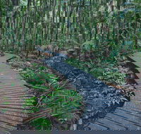 The Channon Protesters Falls Nimbin and Mount Nardi - Maitland Accommodation