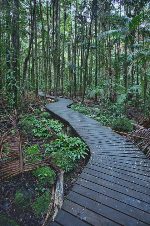 The Channon, Protesters Falls, Nimbin And Mount Nardi - Maitland Accommodation 0