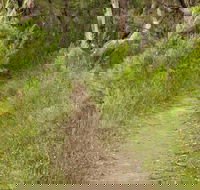 Three Views walking track - Maitland Accommodation
