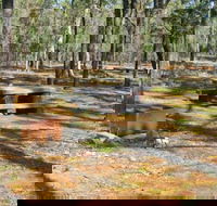 Two Dams picnic area - Maitland Accommodation