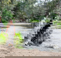 Warrandyte River Reserve - Maitland Accommodation