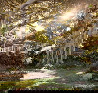 Wendy Whiteley's Secret Garden - Maitland Accommodation