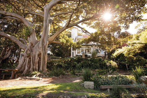 Wendy Whiteley's Secret Garden - Maitland Accommodation 0