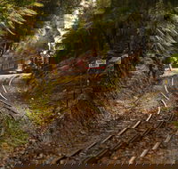 West Coast - Maitland Accommodation