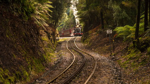 West Coast - Maitland Accommodation 0