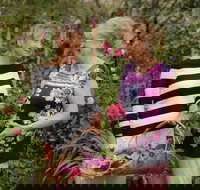 White Cottage - Maitland Accommodation