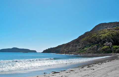 Yacaaba Headland Walking Track - Maitland Accommodation 0