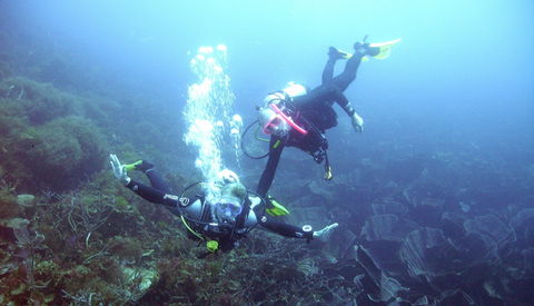 Abrolhos Islands - Maitland Accommodation 2