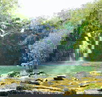 Airlie Beach to Cedar Creek Falls - Maitland Accommodation