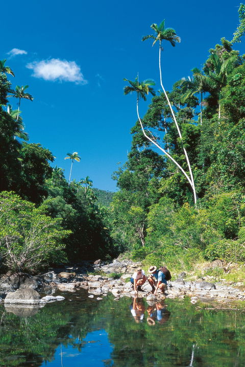 Airlie Beach To Cedar Creek Falls - Maitland Accommodation 1