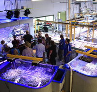 Australian Institute of Marine Science - Maitland Accommodation