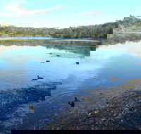 Berrara Creek - Maitland Accommodation