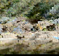 Boonoo Boonoo National Park - Maitland Accommodation