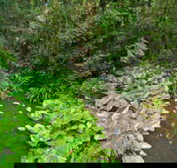 Brindle Creek Picnic Area - Maitland Accommodation