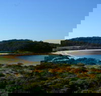 Broulee Island Nature Reserve Walk - Maitland Accommodation