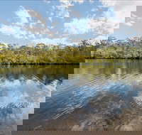 Cockatoo picnic area - Maitland Accommodation