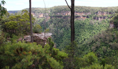 East Rim Wildflower Walking Track - Maitland Accommodation 0