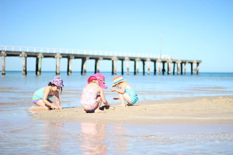 Frankston Beach - Maitland Accommodation 0