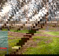 Gemmill Swamp Wildlife Reserve - Maitland Accommodation