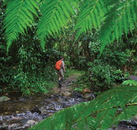 Goldsborough Valley Wooroonooran National Park - Maitland Accommodation