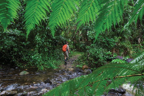 Goldsborough Valley, Wooroonooran National Park - Maitland Accommodation 0