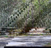 Goonoowigall State Conservation Area - Maitland Accommodation