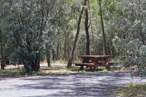 Goonoowigall State Conservation Area - Maitland Accommodation 0