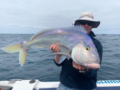 GT Fishing Charters - Maitland Accommodation 1