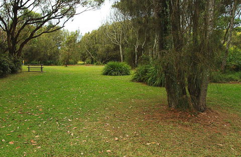 Hammerhead Point Picnic Area - Maitland Accommodation 0