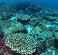 Hanging Rock Dive Site - Maitland Accommodation