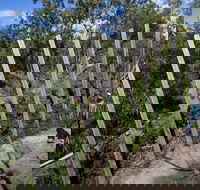 Herring Island Environmental Sculpture Park - Maitland Accommodation