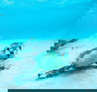 Jurien Bay - Maitland Accommodation