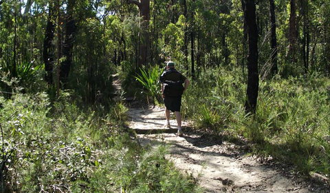Karloo Walking Track - Maitland Accommodation 0