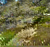 Kurth Kiln Regional Park - Maitland Accommodation