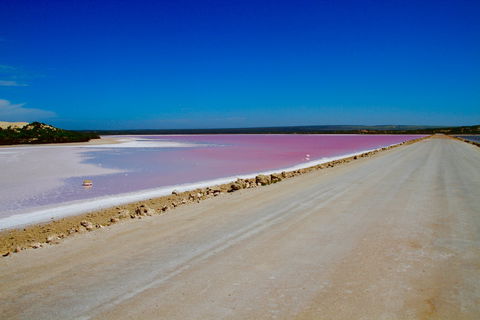 Lake McDonnell - Maitland Accommodation 0