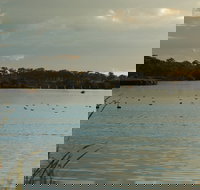 Lake Inverell Reserve - Maitland Accommodation